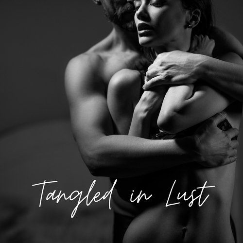 Tangled in Lust: Sensual Beats for Lovers_poster_image