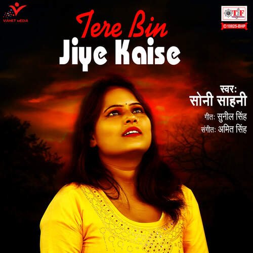 Tere Bin Jiye Kaise