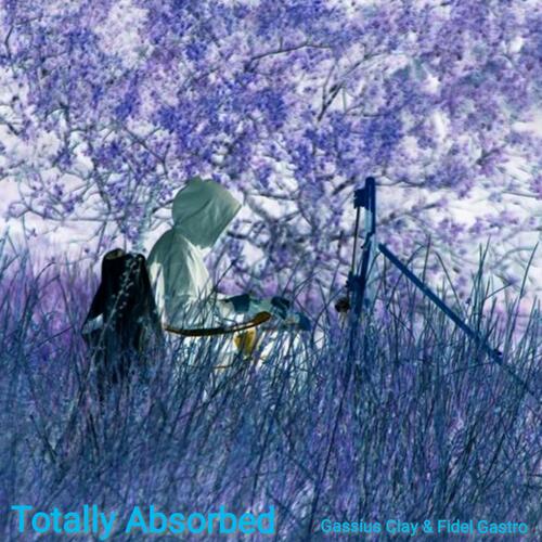 Totally Absorbed cover art