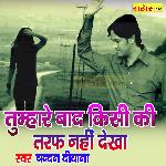 Tumare Bad Kisi Ki Taraf Nahi Dekha (Hindi)
