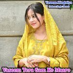 Vaseem Tera Gam Ko Maaro