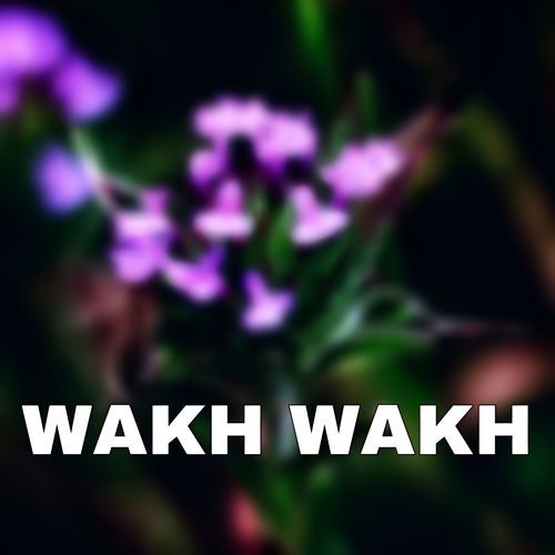 WAKH WAKH