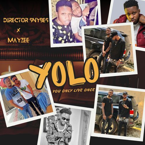 YOLO (You Only Live Once)_poster_image