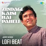 Zindagi Kaisi Hai Paheli Lofi Beat