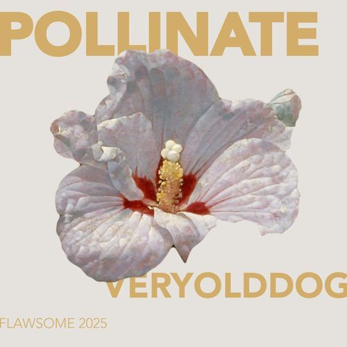 pollinate