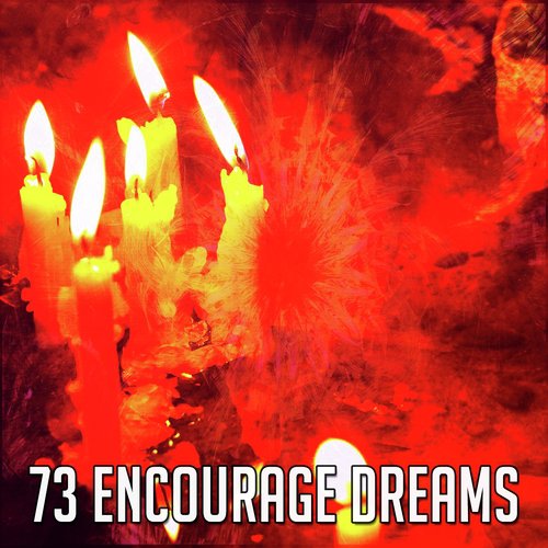 73 Encourage Dreams