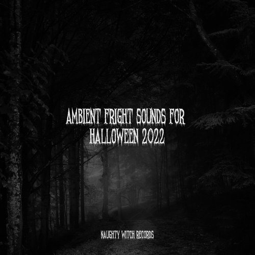 Ambient Fright Sounds for Halloween 2022_poster_image