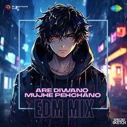 Are Diwano Mujhe Pehchano - EDM Mix-BSJdB0VmUUM