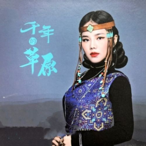 醉在草原的夜晚