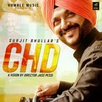 CHD artwork