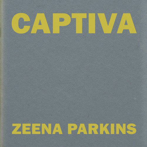 Captiva_poster_image