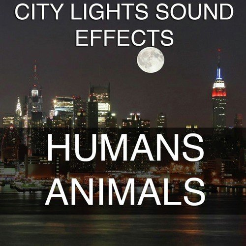 Cat Meow Feline Sound Effects Sound Effect Sounds EFX Sfx FX Animals Cats - 4