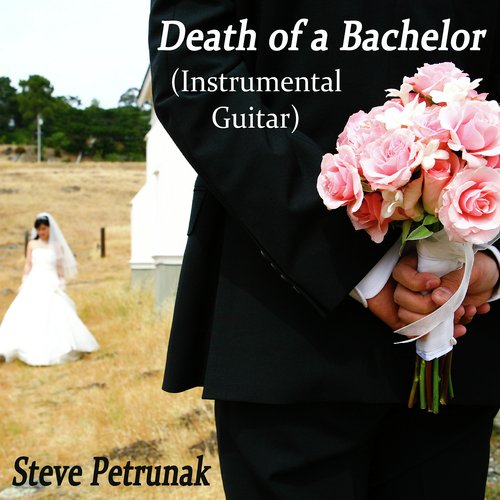 Death of a Bachelor (Instrumental Guitar)_poster_image