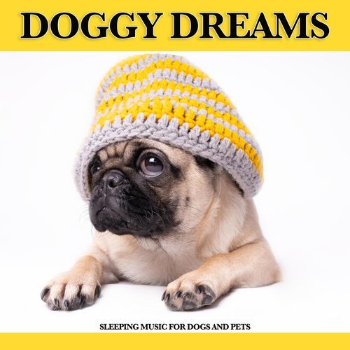 Dog Music