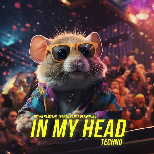 In My Head (Techno)_poster_image