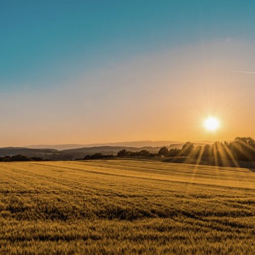 Massage Therapy | Music | Inner Peace | Sleep Music