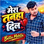 Mera Tanha Dil