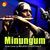 Minungum (Flute Cover Version)