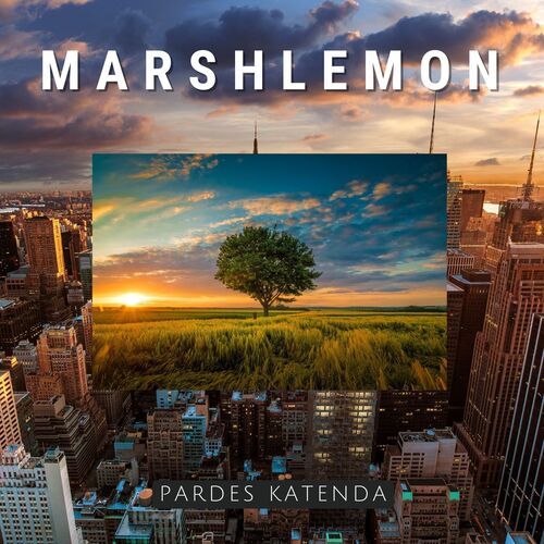 Pardes Katenda cover art