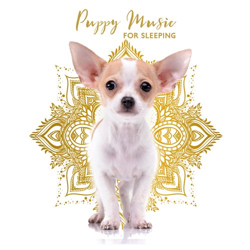Create a Dog Zone cover art