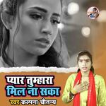 Pyaar Tumhara Mil Na Saka