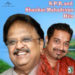 Bharathikku (From "Priyamudan")