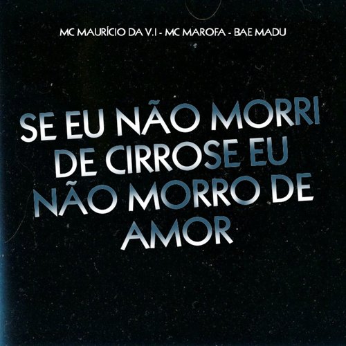 Se Não Morri De Cirrose Eu Não Morro De Amor_poster_image