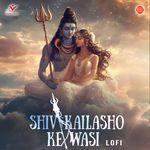 Shiv Kailasho Ke Wasi-Lofi