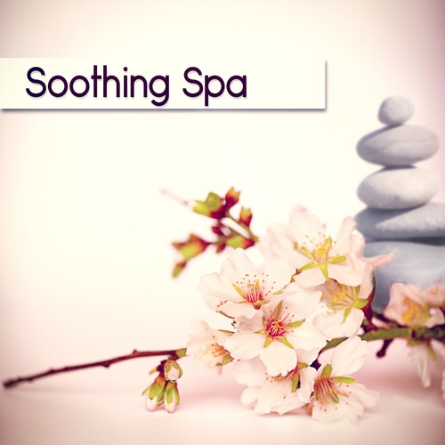 Home Spa Paradise cover art