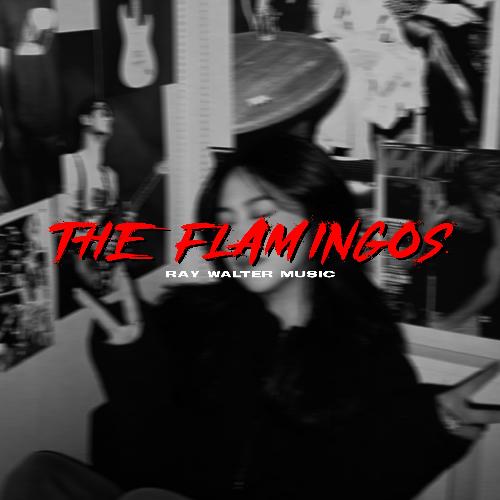 The Flamingos cover art