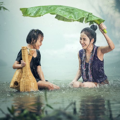 The Rain Lullabies: Gentle Rainshower Music