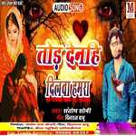 Tor Denhi Dilwa Hamar