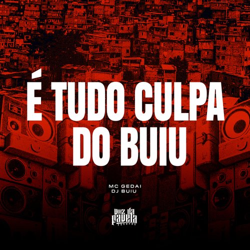 É Tudo Culpa Do Buiu_poster_image