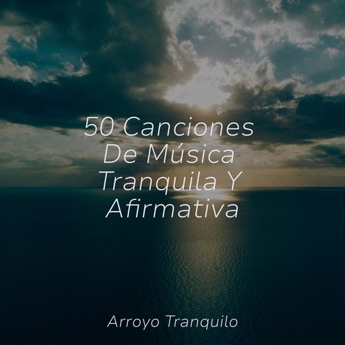 Relajación cover art