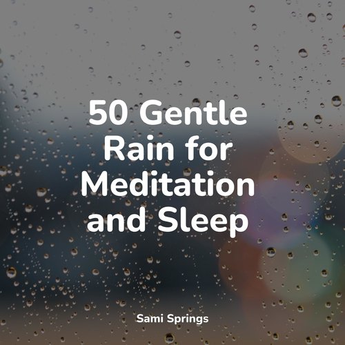 50 Gentle Rain for Meditation and Sleep