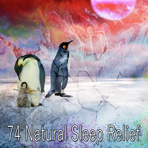 74 Natural Sleep Relief_poster_image