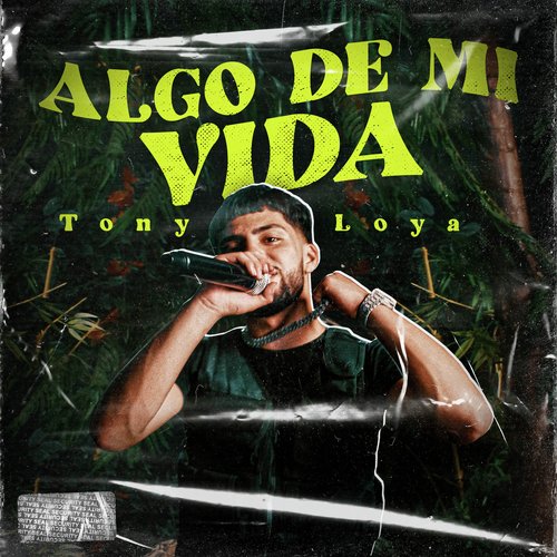 Algo de Mi Vida (En Vivo)_poster_image