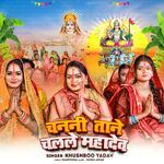 Chanani Tane Chalale Mahadev