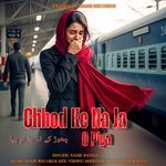 Chhod Ke Na Ja O Piya