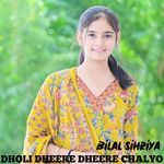 Dholi Dheere Dheere Chalyo