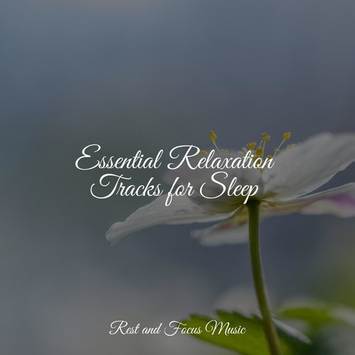 Essential Relaxation Tracks for Sleep