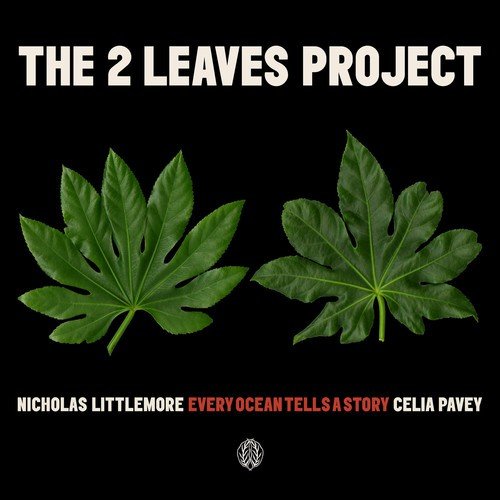 Nicholas Littlemore’s The Two Leaves Project