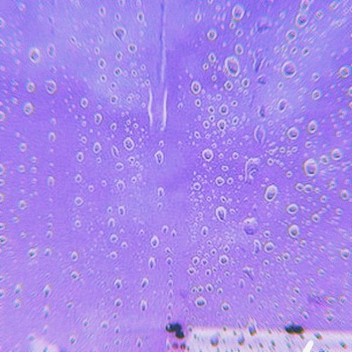 Flowers - Slowed Remix 