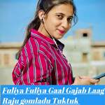 Fuliya Fuliya Gaal Gajab Laag