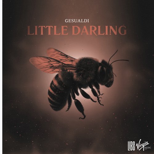 Little Darling_poster_image