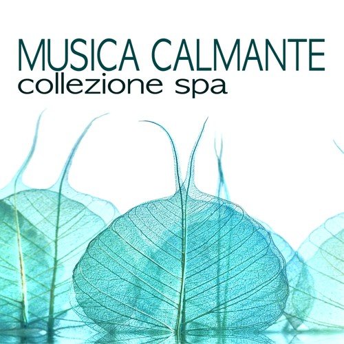 Musica di Pianoforte cover art