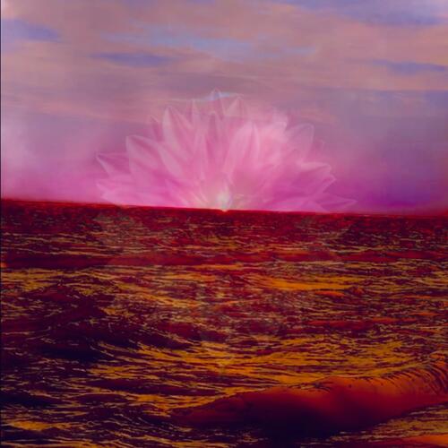 Oceanic Devotional-A Return Part Two