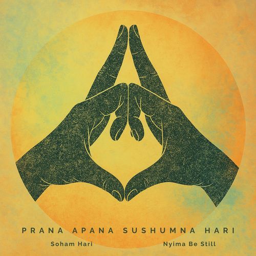 Divine Hari cover art