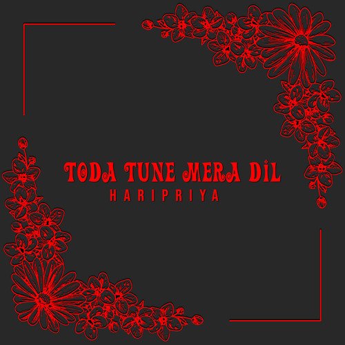 Toda Tune Mera Dil