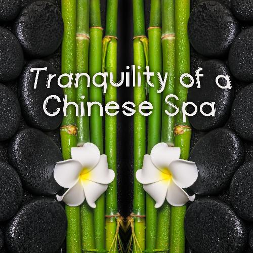 Thai Massage cover art
